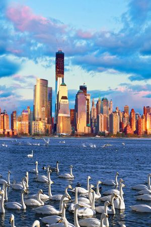 照片印花华亿平台图片