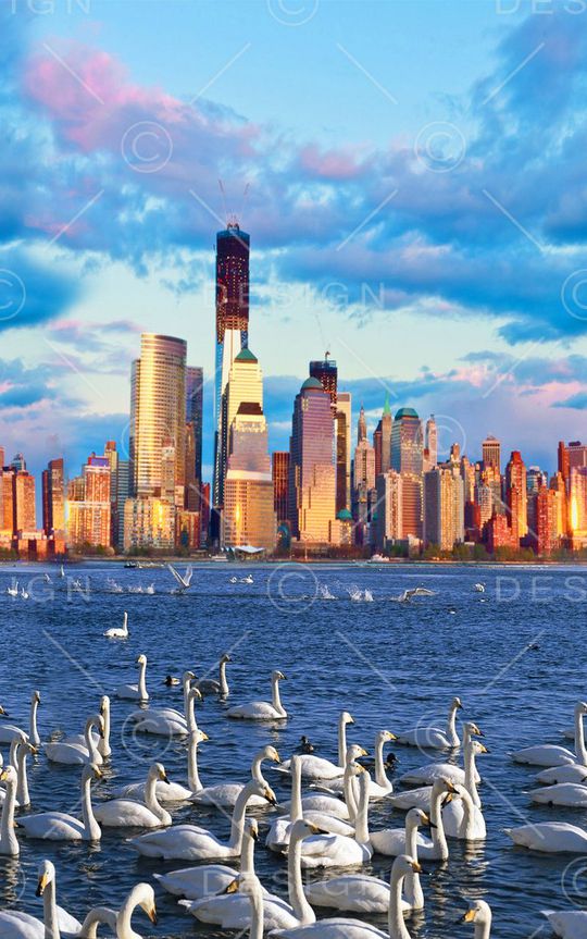 照片印花华亿平台图片