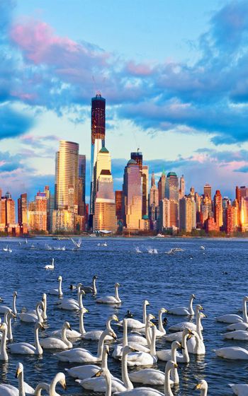 291564-未来？梦！