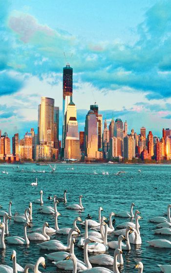 291565-未来？梦！