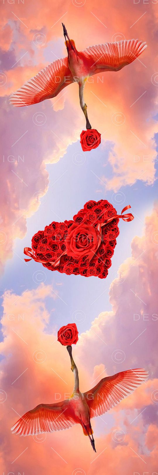 照片印花华亿平台图片