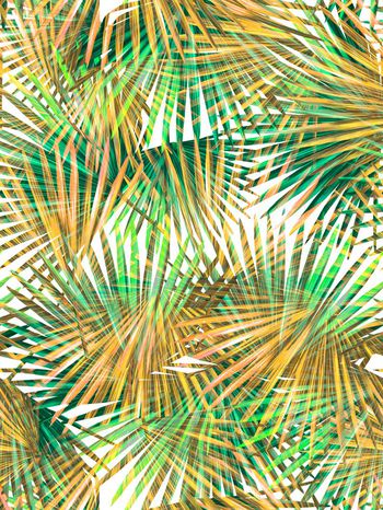 291600-热带风树叶