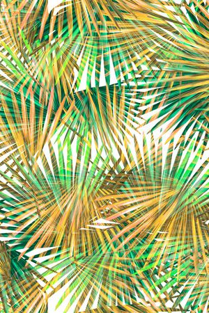 热带植物印花华亿平台图片