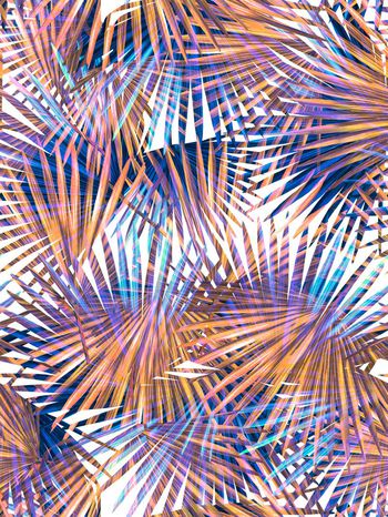 291601-热带风树叶