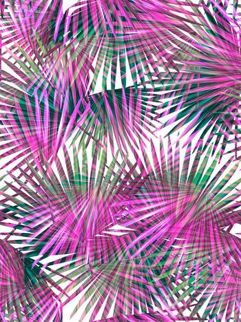 291602-热带风树叶