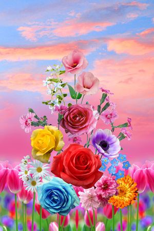 花卉印花华亿平台图片