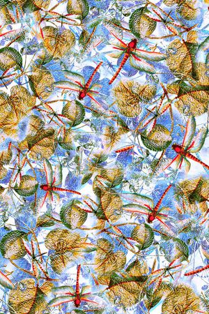 蜻蜓印花华亿平台图片