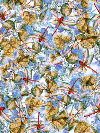 292022-蜻蜓昆虫树叶花朵组合