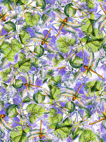 292023-蜻蜓昆虫树叶花朵组合