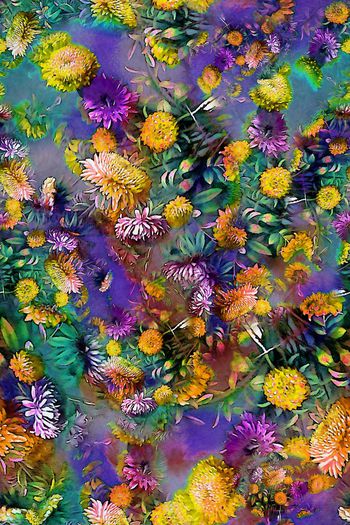 293902-多彩菊花花卉花朵组合