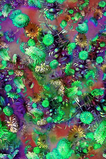 293903-多彩菊花花卉花朵组合