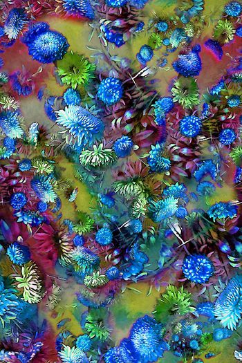 293904-多彩菊花花卉花朵组合