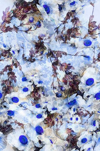 293916-多彩花卉花朵组合