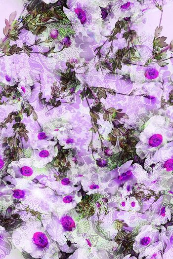 293917-多彩花卉花朵组合