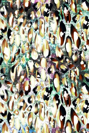 豹纹印花华亿平台图片