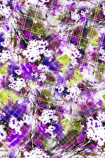 293924-水彩花卉花朵格纹组合