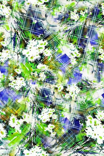 293926-水彩花卉花朵格纹组合