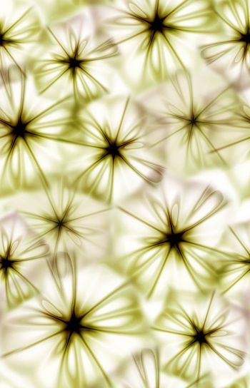 294012-梦幻清新花纹