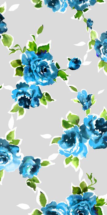 294019-素雅玫瑰花