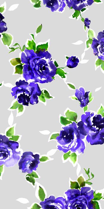 294020-素雅玫瑰花