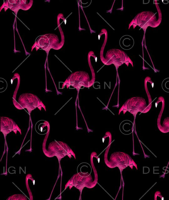 数码动物印花华亿平台图片