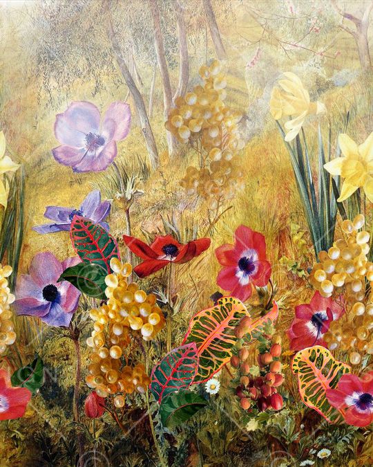 油画花卉印花华亿平台图片