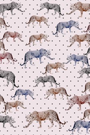 波点印花华亿平台图片