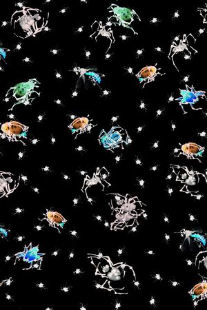 动物印花华亿平台图片