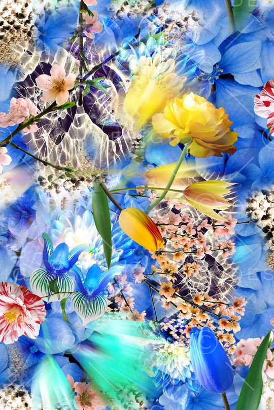 摄影写实花卉印花华亿平台图片