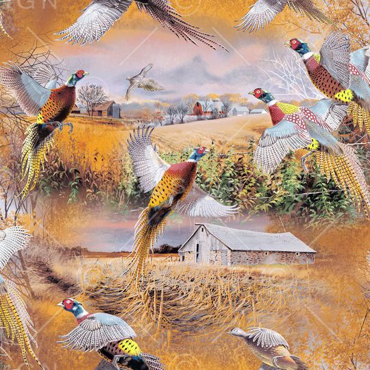 野鸡印花华亿平台图片