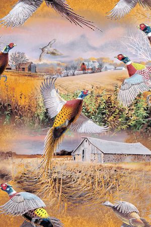 野鸡印花华亿平台图片