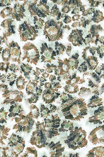 295461-抽象动物纹花卉花朵组合