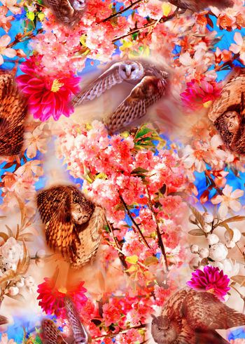 303577-动物花卉花朵猫头鹰组合