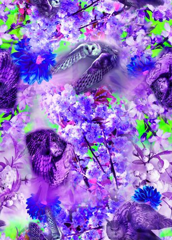 303578-动物花卉花朵猫头鹰组合