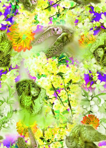 303579-动物花卉花朵猫头鹰组合