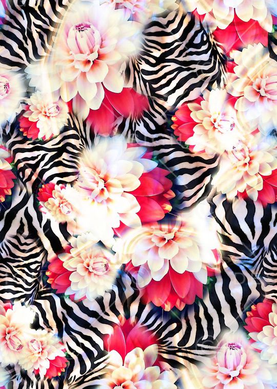 斑马纹印花华亿平台图片