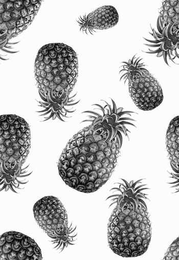 303828-热带假日休闲水果菠萝凤梨照片写实印