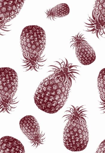 303829-热带假日休闲水果菠萝凤梨照片写实印