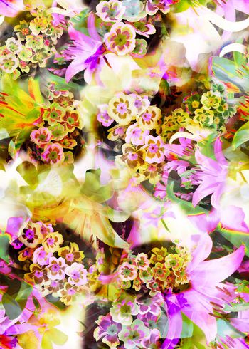 304267-多彩花卉花朵组合