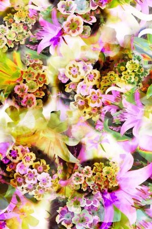 多彩花卉印花华亿平台图片