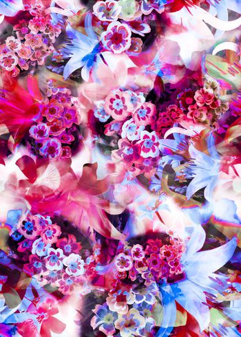 304269-多彩花卉花朵组合