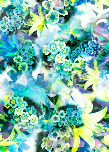 304270-多彩花卉花朵组合