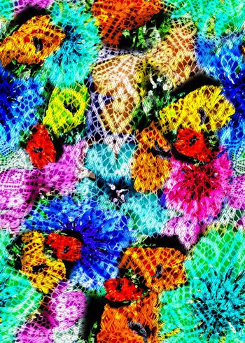 304274-多彩花卉花朵蕾丝组合