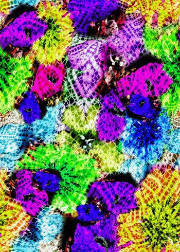 304276-多彩花卉花朵蕾丝组合