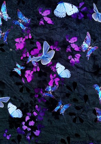 304617-烂漫绕指柔