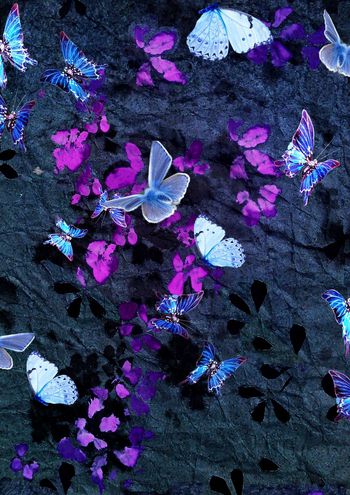 304618-烂漫绕指柔