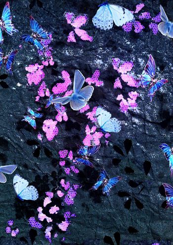 304620-烂漫绕指柔