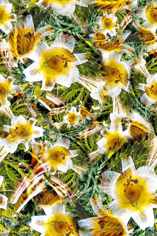 多彩花卉印花华亿平台图片