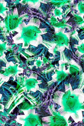 304839-多彩花卉花朵组合