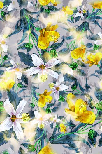 304846-多彩花卉花朵组合